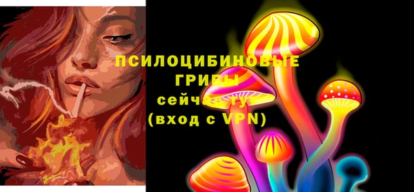 ГАЛЛЮЦИНОГЕННЫЕ ГРИБЫ Гусиноозёрск