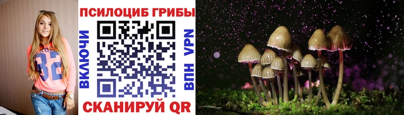 Галлюциногенные грибы Cubensis  Купить закладки  Ишимбай 